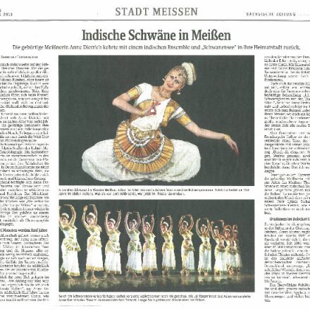 Zeitungsartikel SZ Meissen "Indische Schwäne in Meissen"